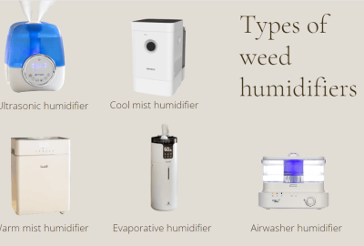 Optimal Humidity for Cultivating Trainwreck: Climate Control Insights