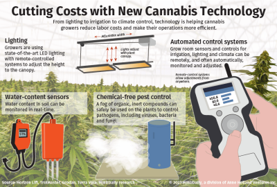 Grow Room Essentials: Perfecting Purple Haze with State-of-the-Art Equipment