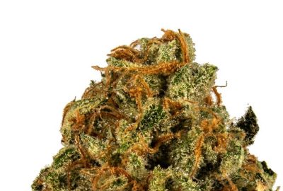 Super Lemon Haze CBD Strain: How Terpenes Enhance Your Experience