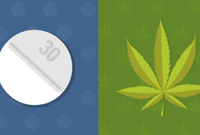 Comparing CBD Strains to Opioids: A Closer Look at Pain Management